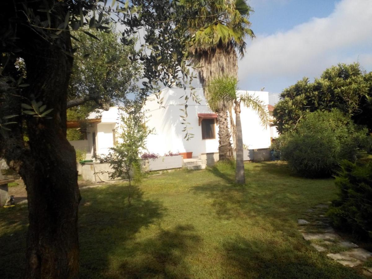 Agriturismo Villa Tommaso 토레 델 로소 외부 사진
