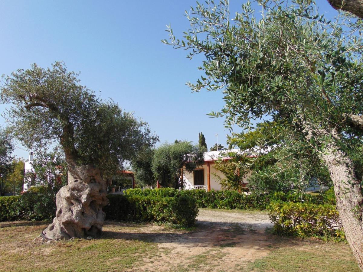 Agriturismo Villa Tommaso 토레 델 로소 외부 사진