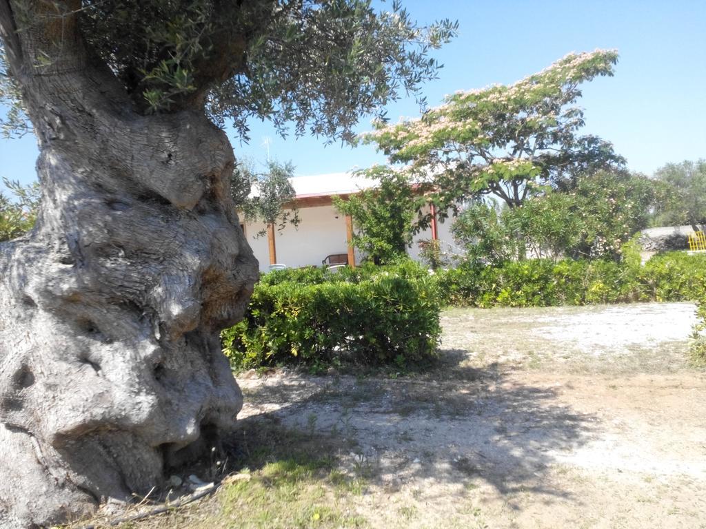 Agriturismo Villa Tommaso 토레 델 로소 외부 사진