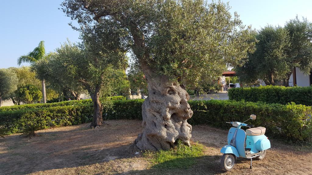 Agriturismo Villa Tommaso 토레 델 로소 외부 사진