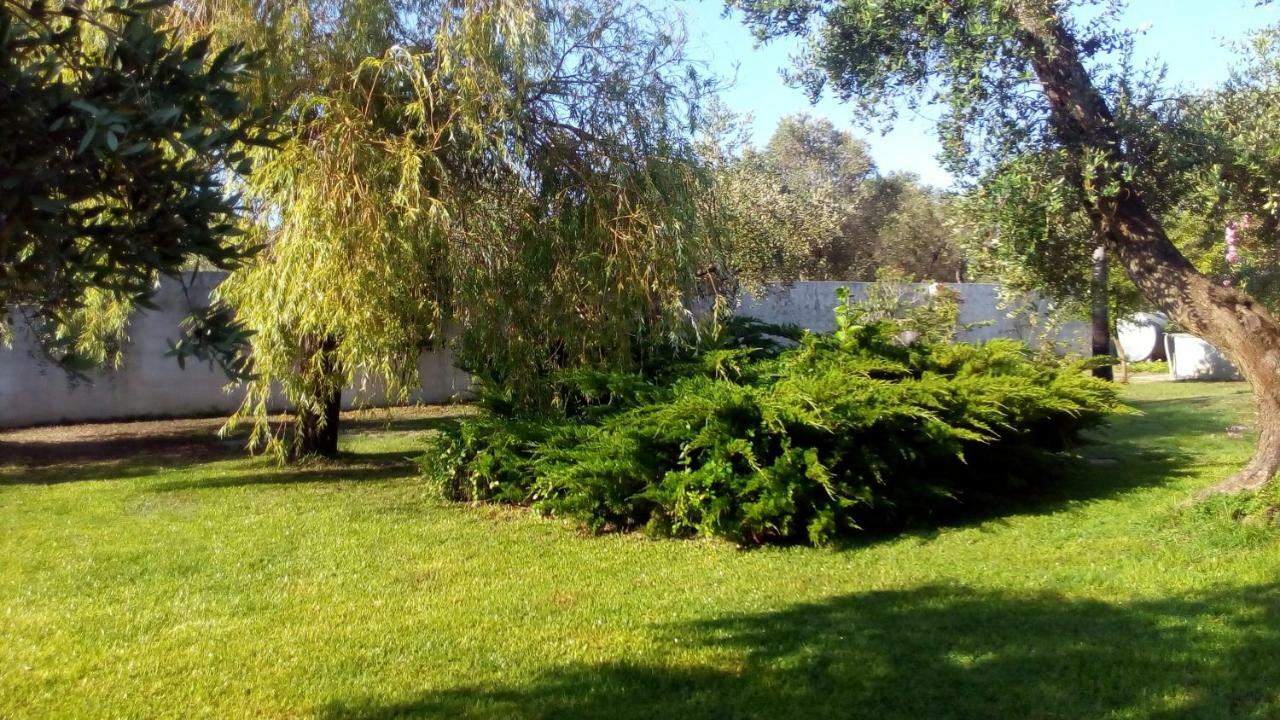 Agriturismo Villa Tommaso 토레 델 로소 외부 사진