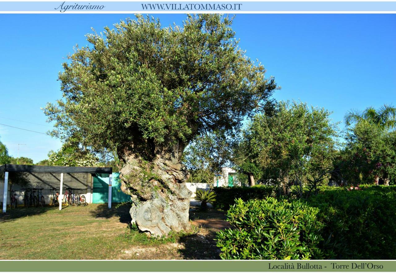 Agriturismo Villa Tommaso 토레 델 로소 외부 사진
