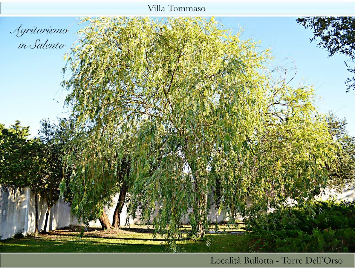 Agriturismo Villa Tommaso 토레 델 로소 외부 사진